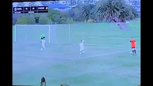 Video: Oliver Campbell goal in semi-final vs New Plymouth