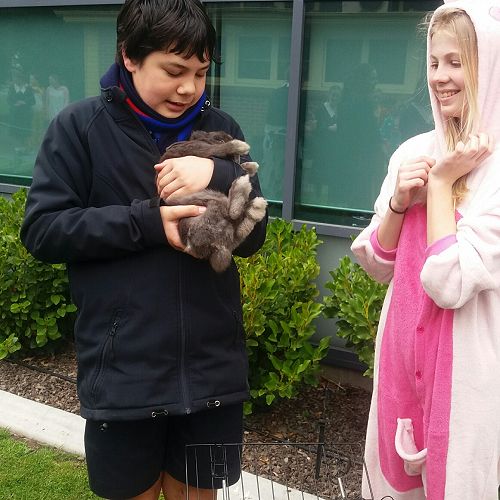 Ronan at Villa's Mercy Day