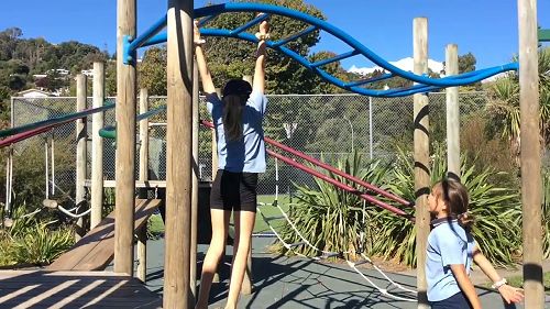 Video: Looking for solutions   Lucy