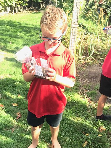 STEAM - Terrarium Making - Team Harakeke