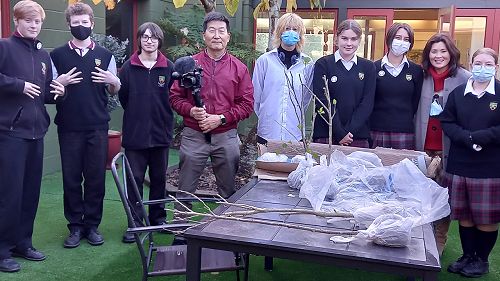 The National Flower of South Korea - Mugunghwa