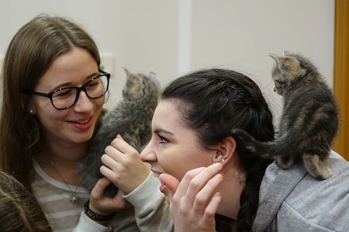 Cuddle Fix - 10 June 2018