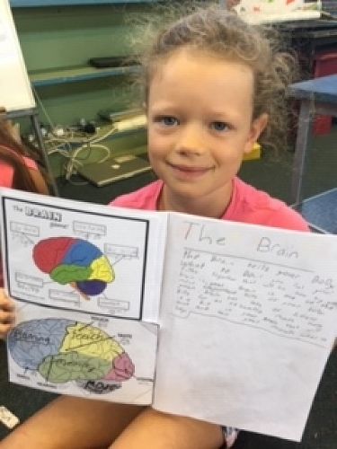 All of the right hand side of this page is what Isla already brought to the classroom about the brain. Look what these kids have to share!