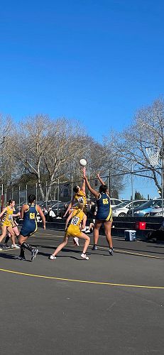 Premier Netball team