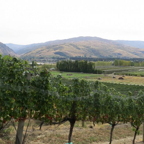 Amazing Central Otago scenery...
