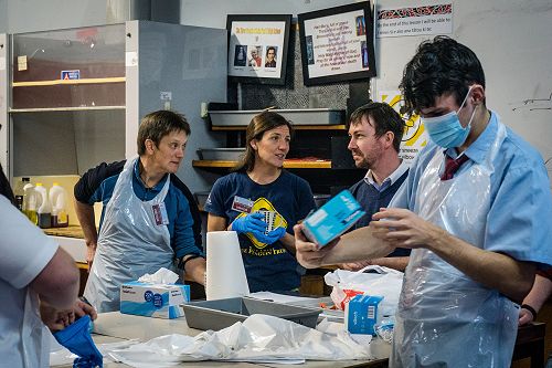 Penguin Dissection in Biology