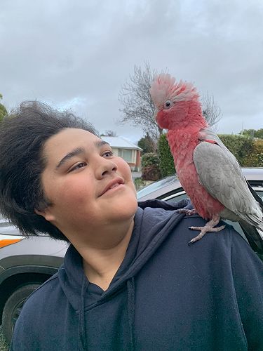 Tamati and Rodney the Galah on the way to KIT Day