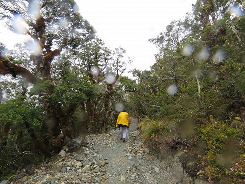 Greenstone Caples Tramp