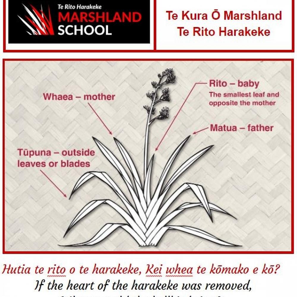 From the Acting Principal