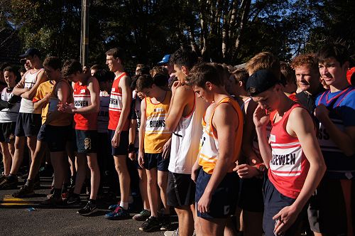 The starting line up of the senior cross country