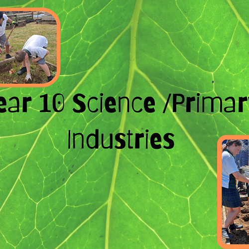 Year 10 Science/Primary Industries