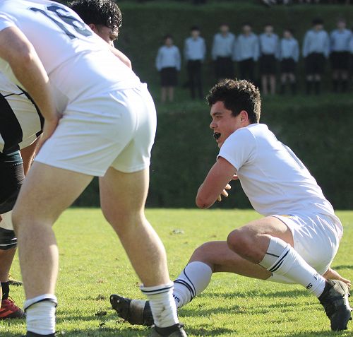 1st XV vs New Plymouth Boys' High School