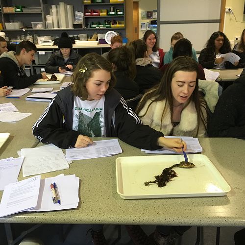 13 Biology Field Trip