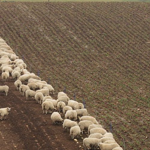 'Breakfast is served'