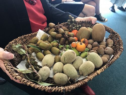 These are all kiwifruit