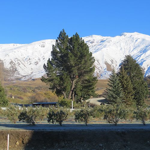 Awful views at the Distillery...