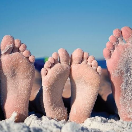 Adult Summer Reading Programme