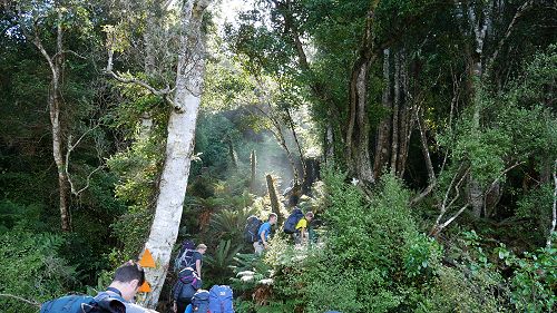 Rakiura international tramp