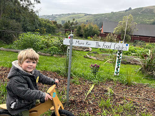 Billy at Sumner Community Gardens