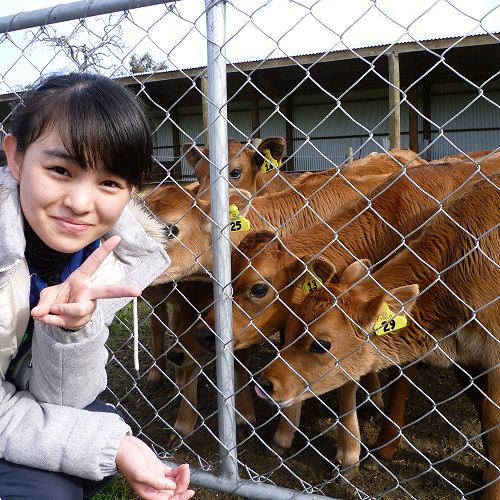 Japanese Students enjoying school life at Cobham and activities around Christchurch