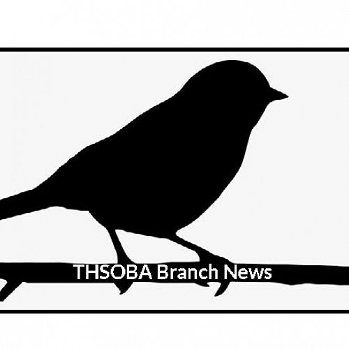 Branch news