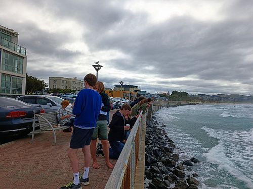 Year 13 Geography Beach Visit