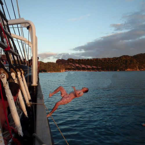 Video: What a messy year