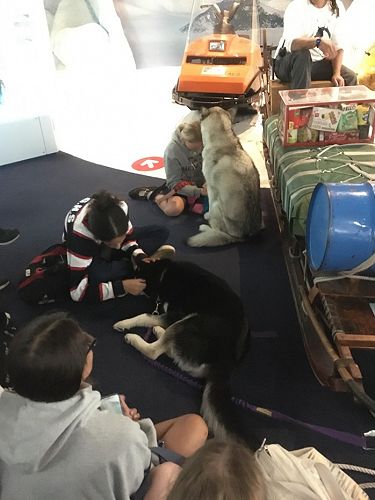 Year 10 Ōtakaro Learning Through Action and Antarctic Centre Field Trip