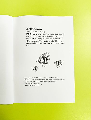 CANDID - A Student Writing Initiative