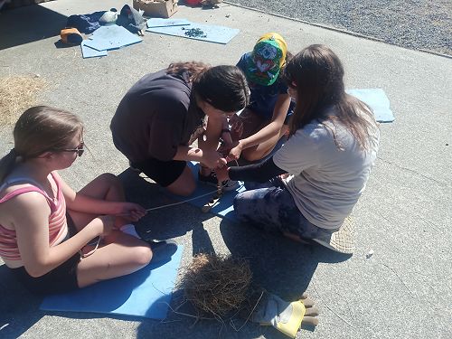 Stars Day - 9GATO in action