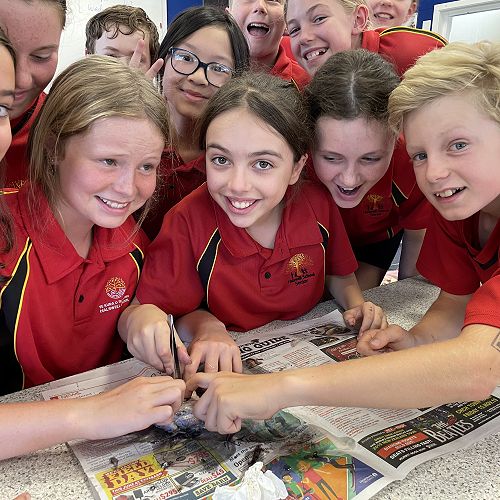 Our Years 7&8 students fully engaged in a science class at Hillmorton High School.