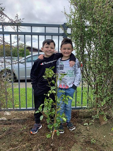 Planting trees at Deaf hub