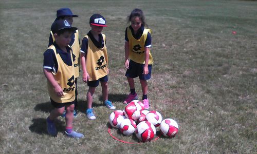 Rob the Nest - The yellow team had the most balls!