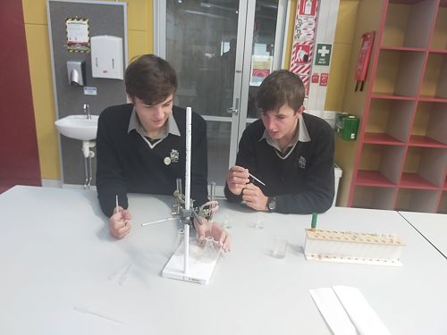 Massey Agriculture Taster Day