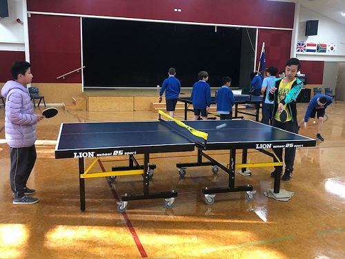 Table Tennis