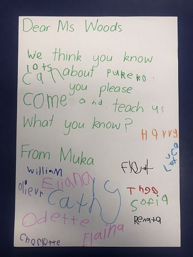 Harakeke Technology Problem