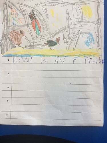 Kiwi is having a party (Charlie Irvine)