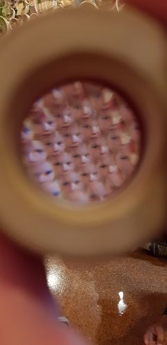 Awa's Trip to the Canterbury Museum