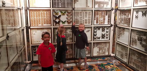 Awa's Trip to the Canterbury Museum