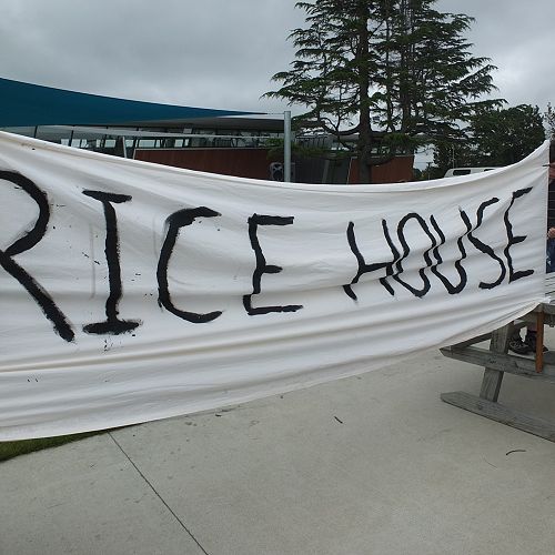 Rice flag