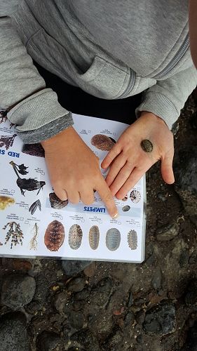 The answer to challenge 1