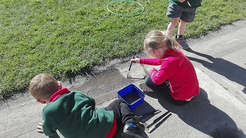 Learning Through Play with EduKids Wairakei