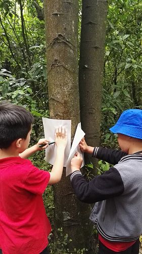 Riccarton House & Riccarton Bush - Team Harakeke - 2017