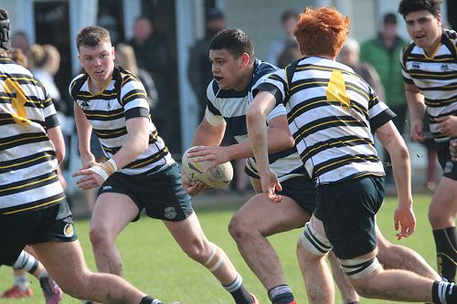 2nd XV vs New Plymouth Boys' High School