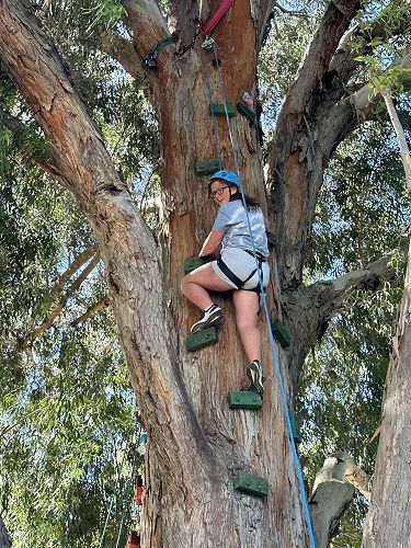 Amelia was amazing at the tree climbing!