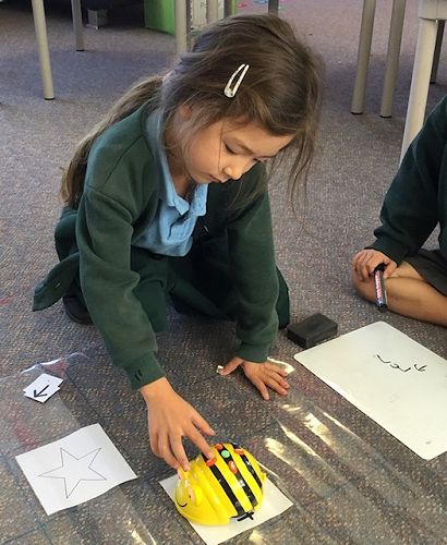 Sophia inputting her algorithm into the Bee-Bot.