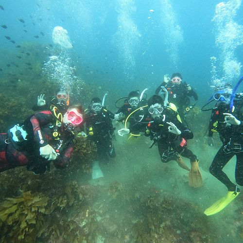 PADI open water diving course