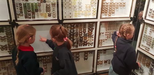 Awa's Trip to the Canterbury Museum