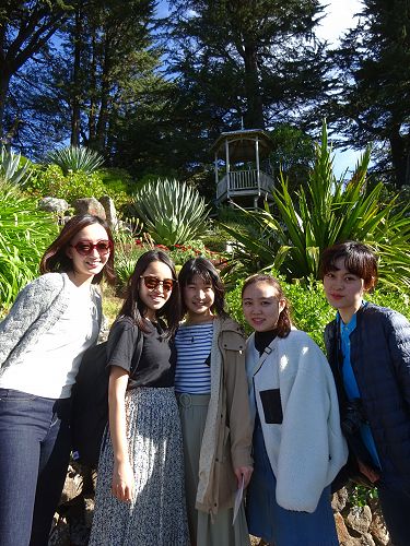 A beautiful day at the Albatross Colony