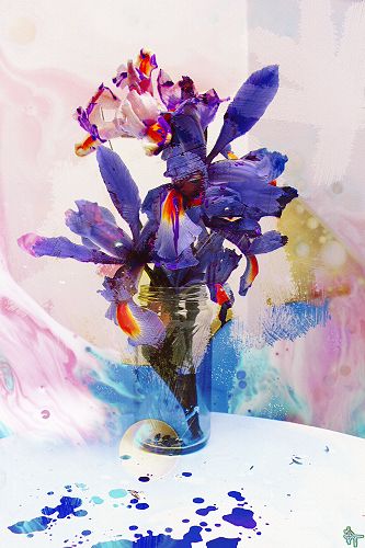 Iris Patch Late
Summer 